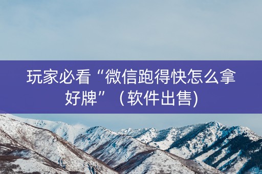 玩家必看“微信跑得快怎么拿好牌”（软件出售)