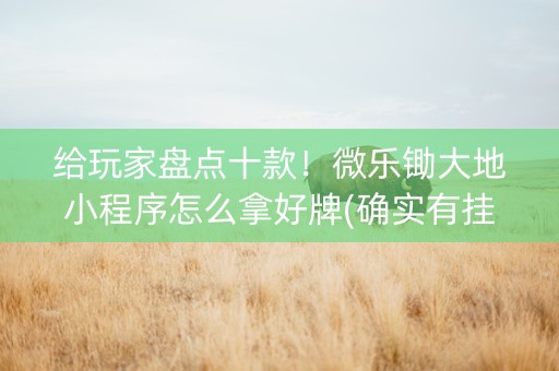 给玩家盘点十款！微乐锄大地小程序怎么拿好牌(确实有挂)