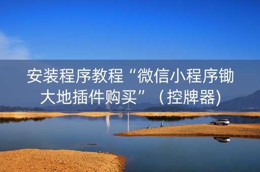安装程序教程“微信小程序锄大地插件购买”（控牌器)