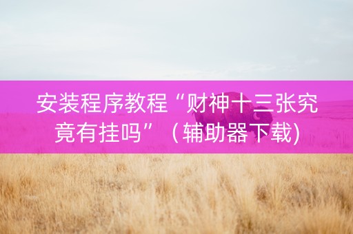 安装程序教程“财神十三张究竟有挂吗”（辅助器下载)