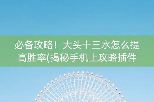 必备攻略！大头十三水怎么提高胜率(揭秘手机上攻略插件)