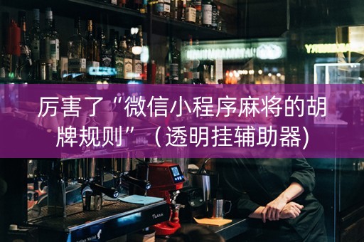 厉害了“微信小程序麻将的胡牌规则”（透明挂辅助器)