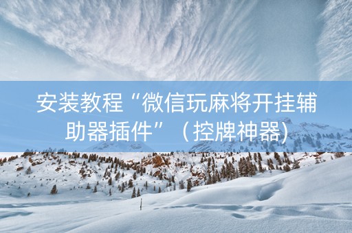 安装教程“微信玩麻将开挂辅助器插件”（控牌神器)