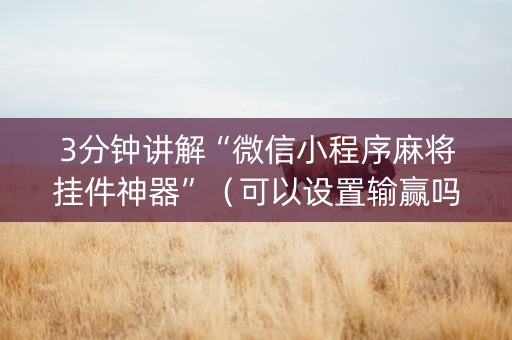 3分钟讲解“微信小程序麻将挂件神器”（可以设置输赢吗)