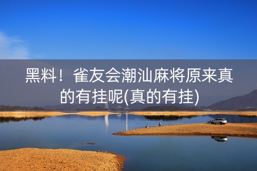 黑料！雀友会潮汕麻将原来真的有挂呢(真的有挂)