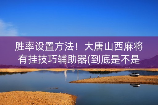 胜率设置方法！大唐山西麻将有挂技巧辅助器(到底是不是有挂)