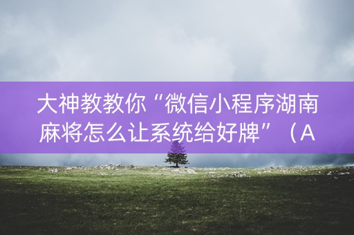 大神教教你“微信小程序湖南麻将怎么让系统给好牌”（AI辅助胡牌规则)
