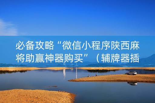 必备攻略“微信小程序陕西麻将助赢神器购买”（辅牌器插件购买)
