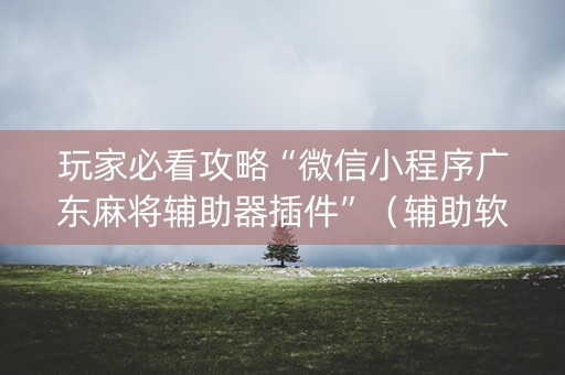 玩家必看攻略“微信小程序广东麻将辅助器插件”（辅助软件)