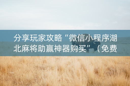 分享玩家攻略“微信小程序湖北麻将助赢神器购买”（免费辅助)