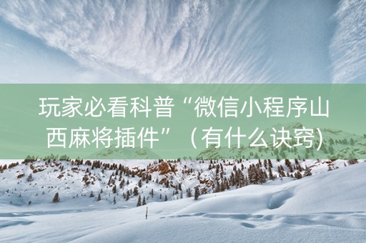 玩家必看科普“微信小程序山西麻将插件”（有什么诀窍)