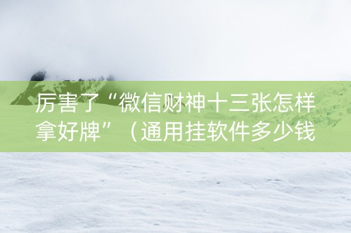 厉害了“微信财神十三张怎样拿好牌”（通用挂软件多少钱)