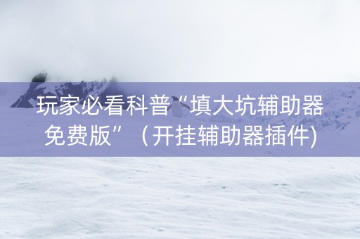 玩家必看科普“填大坑辅助器免费版”（开挂辅助器插件)