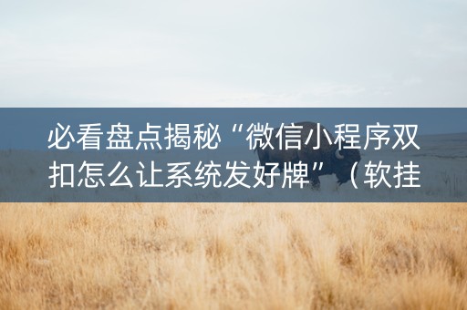 必看盘点揭秘“微信小程序双扣怎么让系统发好牌”（软挂神器)