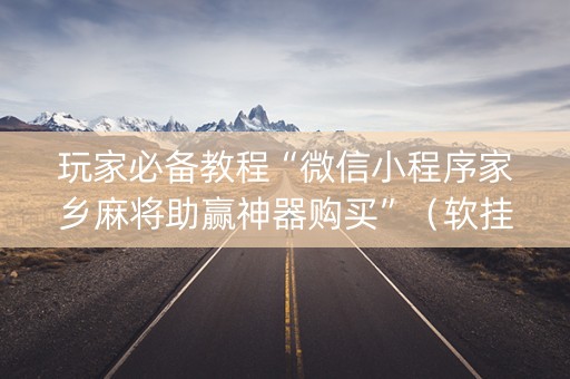 玩家必备教程“微信小程序家乡麻将助赢神器购买”（软挂神器)