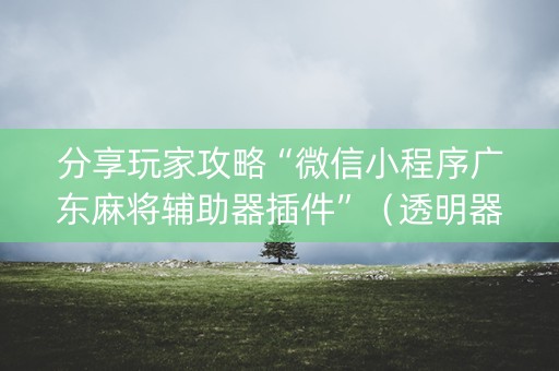 分享玩家攻略“微信小程序广东麻将辅助器插件”（透明器教程)