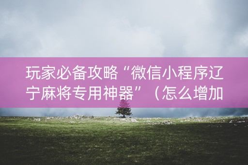 玩家必备攻略“微信小程序辽宁麻将专用神器”（怎么增加胜率)
