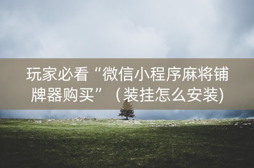 玩家必看“微信小程序麻将铺牌器购买”（装挂怎么安装)