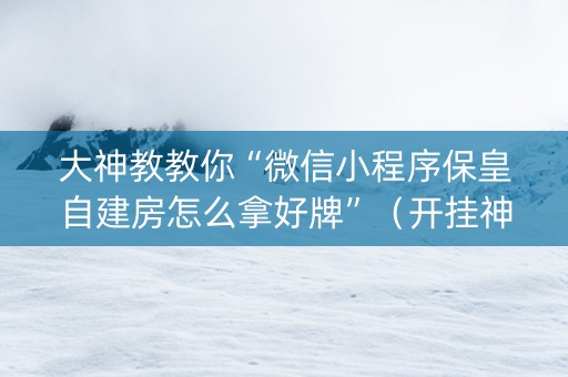 大神教教你“微信小程序保皇自建房怎么拿好牌”（开挂神器下载)