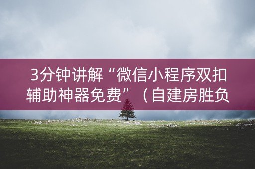3分钟讲解“微信小程序双扣辅助神器免费”（自建房胜负规律)