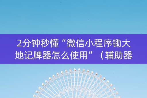 2分钟秒懂“微信小程序锄大地记牌器怎么使用”（辅助器插件)