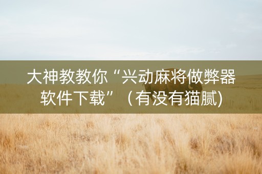大神教教你“兴动麻将做弊器软件下载”（有没有猫腻)