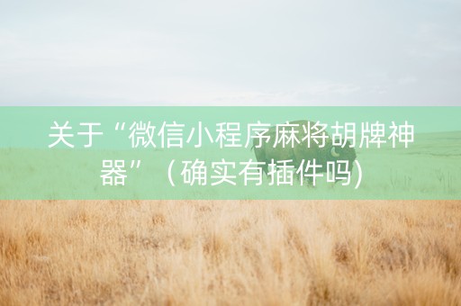 关于“微信小程序麻将胡牌神器”（确实有插件吗)
