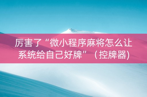 厉害了“微小程序麻将怎么让系统给自己好牌”（控牌器)
