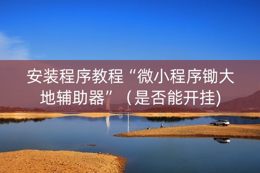 安装程序教程“微小程序锄大地辅助器”（是否能开挂)