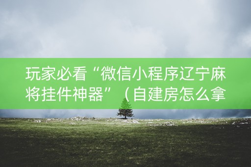 玩家必看“微信小程序辽宁麻将挂件神器”（自建房怎么拿好牌)