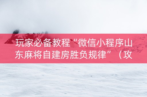 玩家必备教程“微信小程序山东麻将自建房胜负规律”（攻略插件)