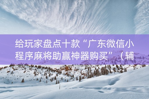 给玩家盘点十款“广东微信小程序麻将助赢神器购买”（辅助器插件)
