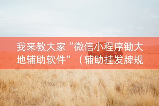 我来教大家“微信小程序锄大地辅助软件”（辅助挂发牌规律)
