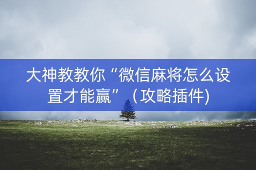 大神教教你“微信麻将怎么设置才能赢”（攻略插件)