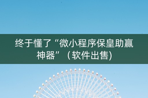 终于懂了“微小程序保皇助赢神器”（软件出售)