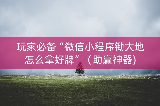 玩家必备“微信小程序锄大地怎么拿好牌”（助赢神器)