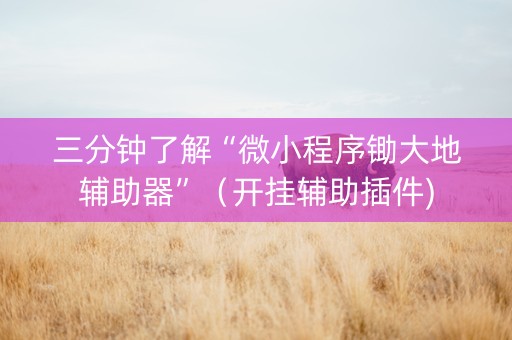 三分钟了解“微小程序锄大地辅助器”（开挂辅助插件)