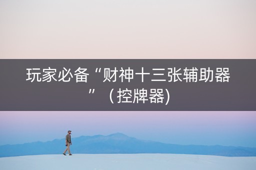玩家必备“财神十三张辅助器”（控牌器)