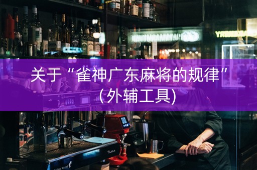 关于“雀神广东麻将的规律”（外辅工具)