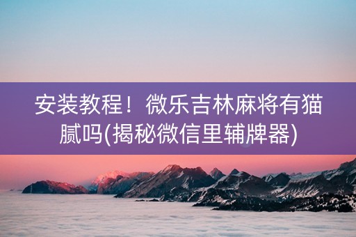 安装教程！微乐吉林麻将有猫腻吗(揭秘微信里辅牌器)