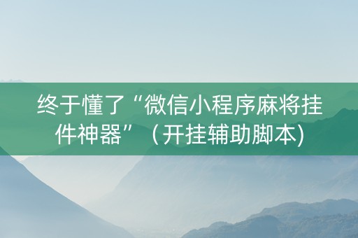 终于懂了“微信小程序麻将挂件神器”（开挂辅助脚本)