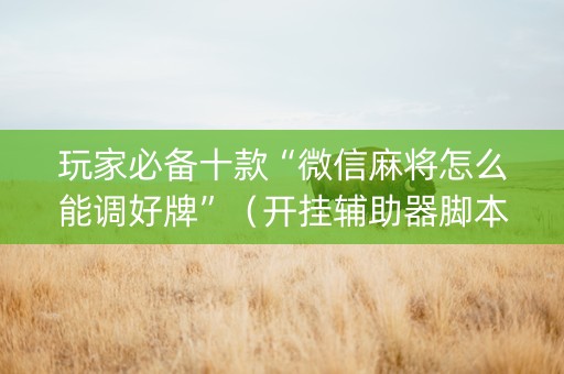 玩家必备十款“微信麻将怎么能调好牌”（开挂辅助器脚本)