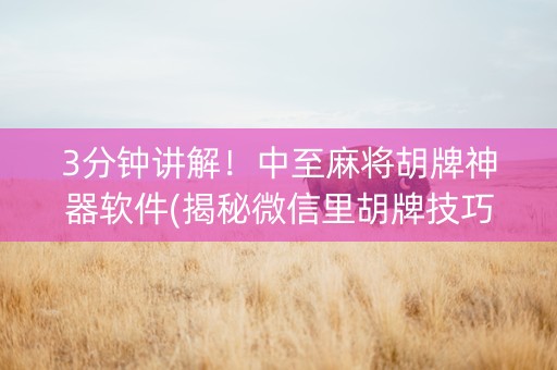 3分钟讲解！中至麻将胡牌神器软件(揭秘微信里胡牌技巧)