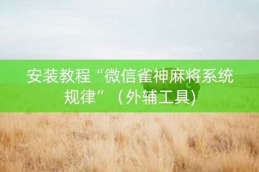 安装教程“微信雀神麻将系统规律”（外辅工具)