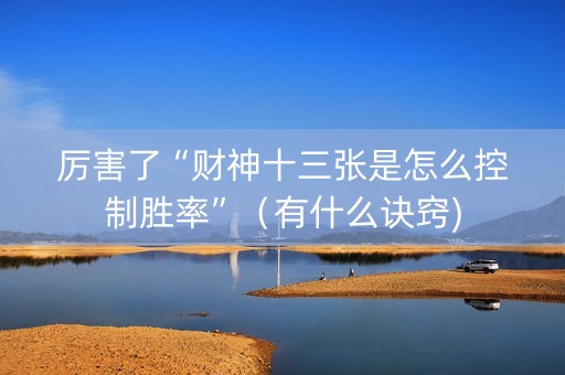 厉害了“财神十三张是怎么控制胜率”（有什么诀窍)
