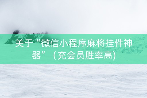 关于“微信小程序麻将挂件神器”（充会员胜率高)