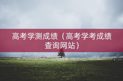 高考学测成绩（高考学考成绩查询网站）