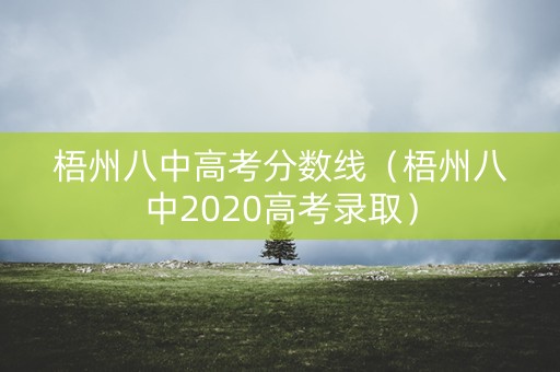 梧州八中高考分数线（梧州八中2020高考录取）
