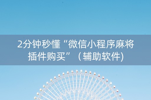 2分钟秒懂“微信小程序麻将插件购买”（辅助软件)