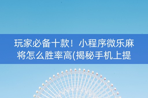 玩家必备十款！小程序微乐麻将怎么胜率高(揭秘手机上提高胜率)